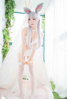 新妈妈2019